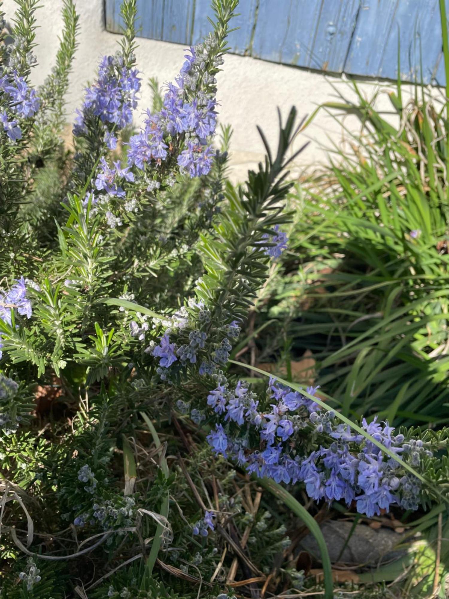 Gites Le Pimayon Manosque Bagian luar foto