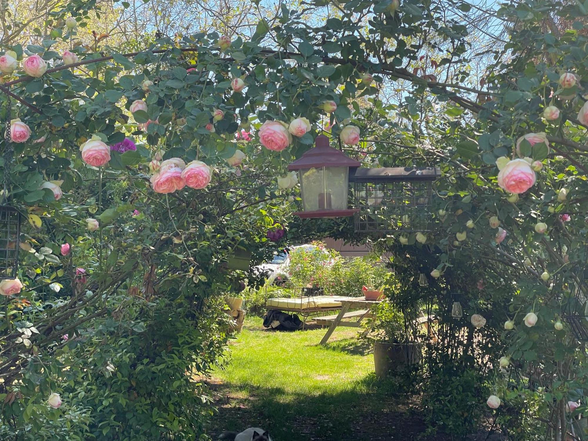 Gites Le Pimayon Manosque Bagian luar foto