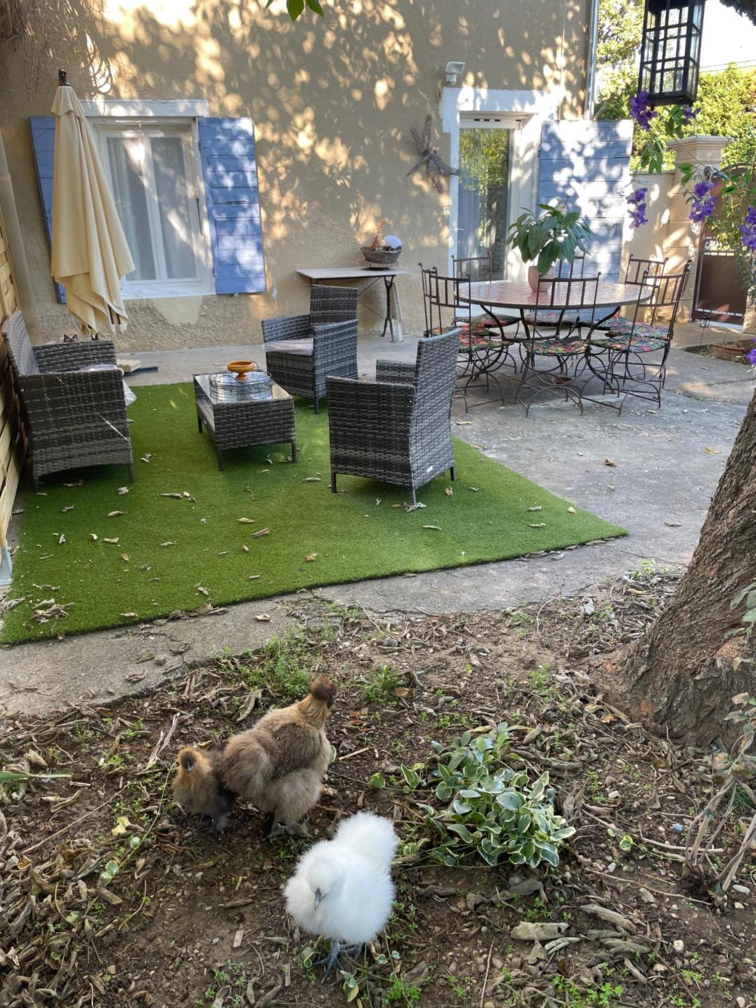 Gites Le Pimayon Manosque Bagian luar foto