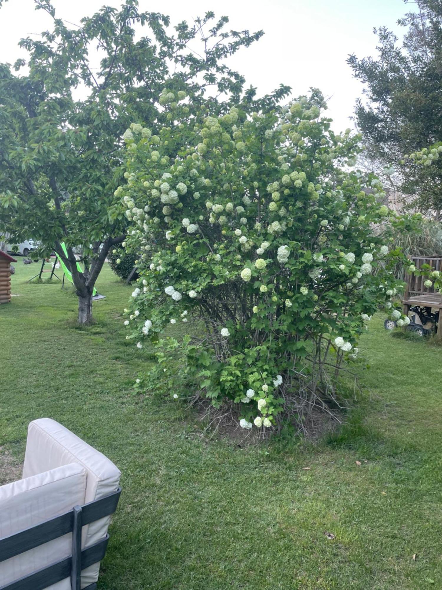 Gites Le Pimayon Manosque Bagian luar foto