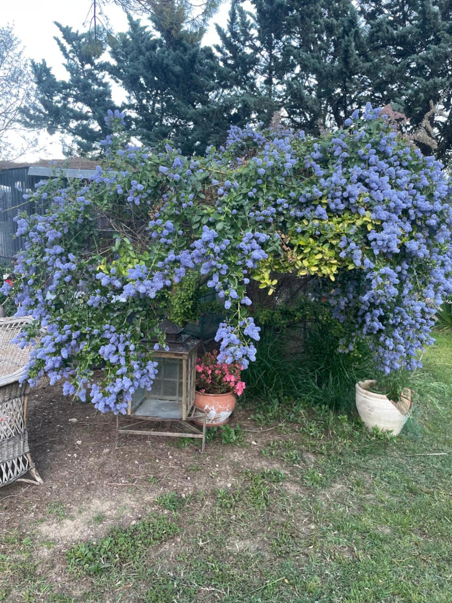 Gites Le Pimayon Manosque Bagian luar foto
